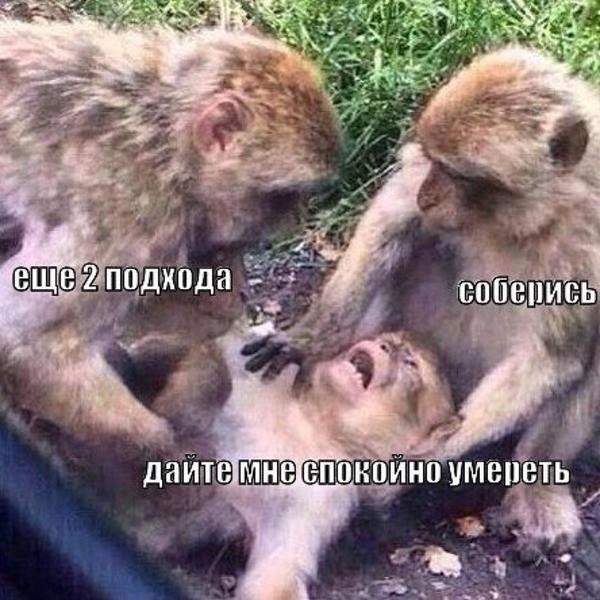 Курилка- разговоры на любые темы - Бодибилдинг форум AnabolicShops