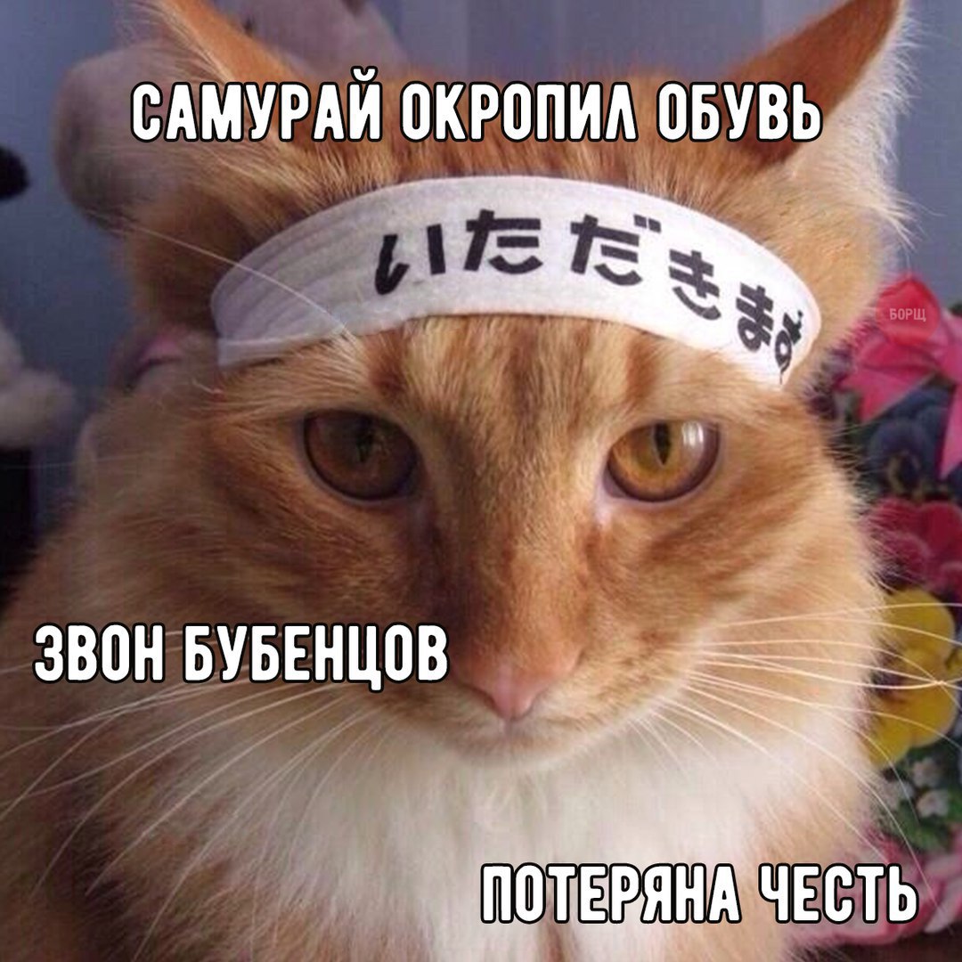 Курилка- разговоры на любые темы - Бодибилдинг форум AnabolicShops