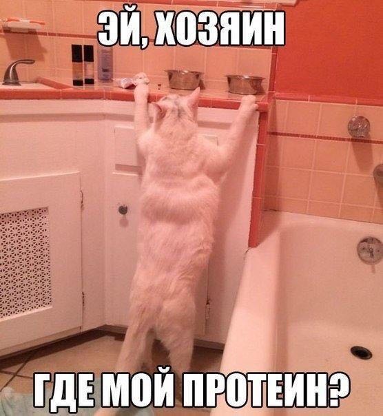 Sterostore.xyz -  Магазин низких цен. - Бодибилдинг форум AnabolicShops