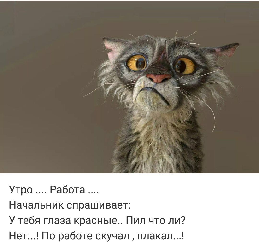 Анекдоты обо всем - Бодибилдинг форум AnabolicShops