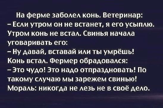 Курилка- разговоры на любые темы - Бодибилдинг форум AnabolicShops