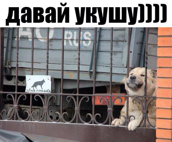 Курилка- разговоры на любые темы - Бодибилдинг форум AnabolicShops