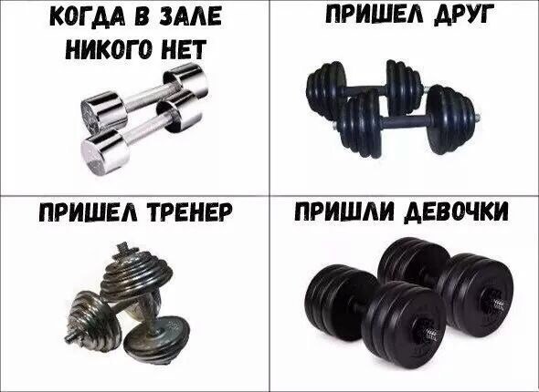 Курилка- разговоры на любые темы - Бодибилдинг форум AnabolicShops