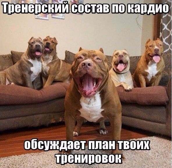 Курилка- разговоры на любые темы - Бодибилдинг форум AnabolicShops