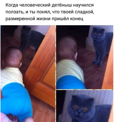 Курилка- разговоры на любые темы - Бодибилдинг форум AnabolicShops