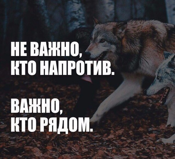 Natusik - Меркантильная суЧность или Сильная Красотка - Бодибилдинг форум AnabolicShops