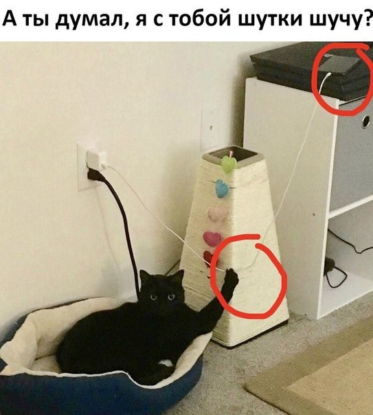 Курилка- разговоры на любые темы - Бодибилдинг форум AnabolicShops