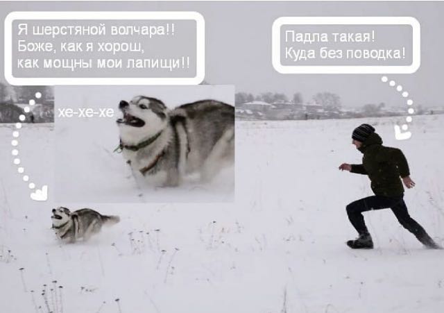 Курилка- разговоры на любые темы - Бодибилдинг форум AnabolicShops