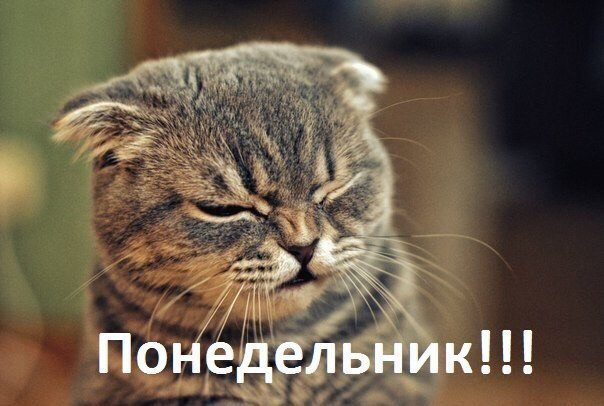 Курилка- разговоры на любые темы - Бодибилдинг форум AnabolicShops