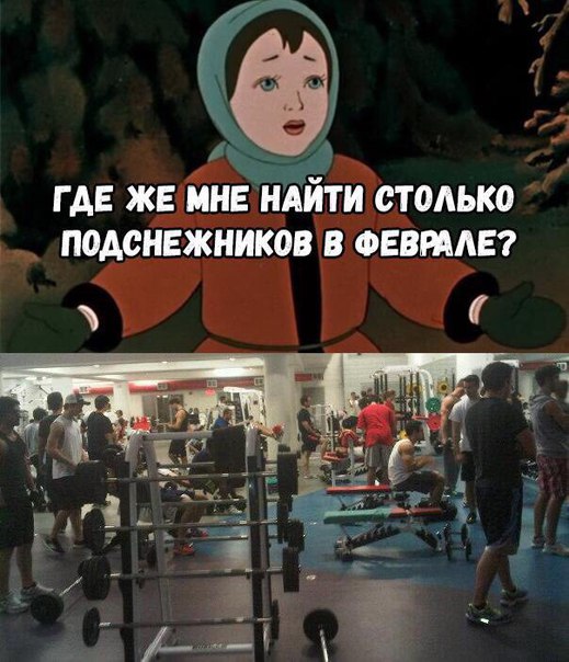 Курилка- разговоры на любые темы - Бодибилдинг форум AnabolicShops