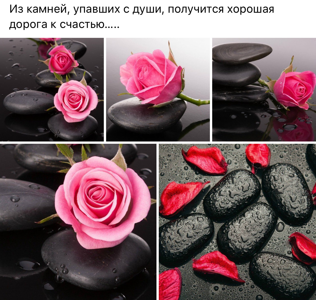 Курилка- разговоры на любые темы - Бодибилдинг форум AnabolicShops