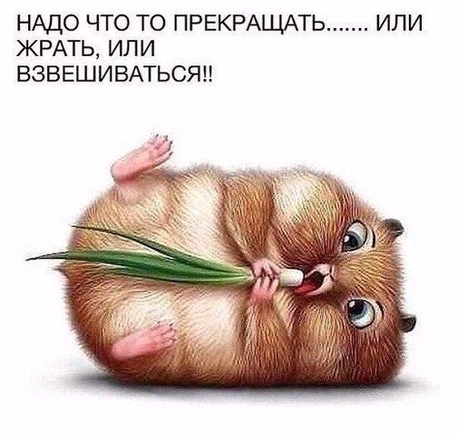 Курилка- разговоры на любые темы - Бодибилдинг форум AnabolicShops