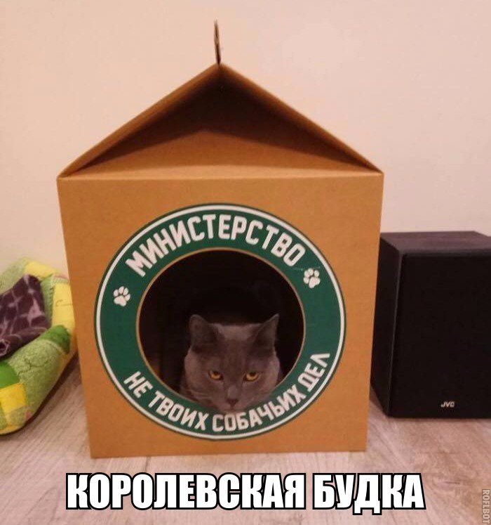 Курилка- разговоры на любые темы - Бодибилдинг форум AnabolicShops