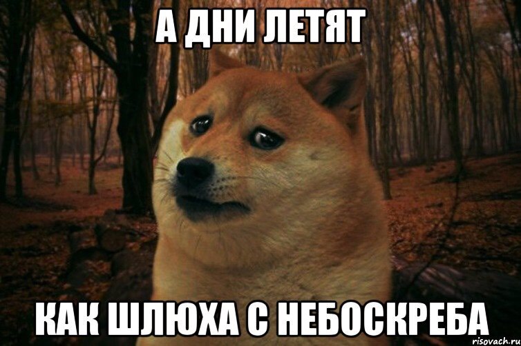 Sterostore.xyz -  Магазин низких цен. - Бодибилдинг форум AnabolicShops