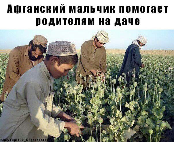 Курилка- разговоры на любые темы - Бодибилдинг форум AnabolicShops
