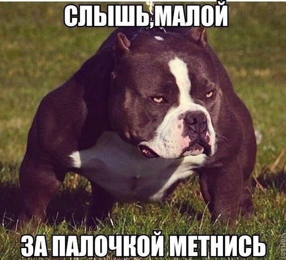 Курилка- разговоры на любые темы - Бодибилдинг форум AnabolicShops
