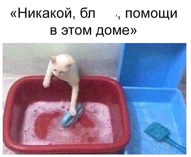 Курилка- разговоры на любые темы - Бодибилдинг форум AnabolicShops