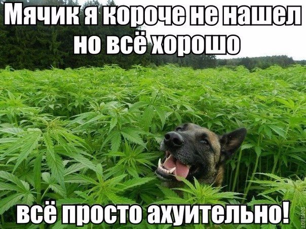 Курилка- разговоры на любые темы - Бодибилдинг форум AnabolicShops