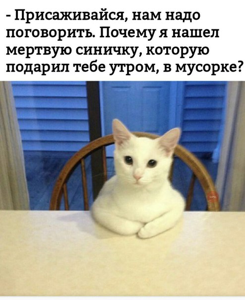 Курилка- разговоры на любые темы - Бодибилдинг форум AnabolicShops