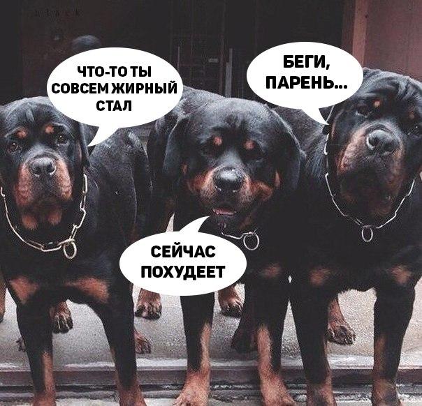 Курилка- разговоры на любые темы - Бодибилдинг форум AnabolicShops