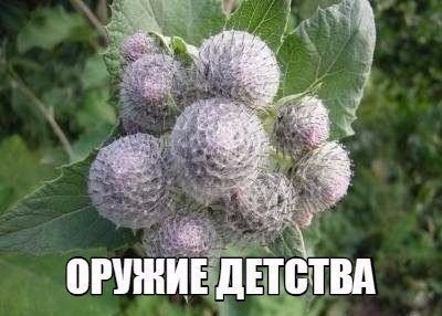 Курилка- разговоры на любые темы - Бодибилдинг форум AnabolicShops