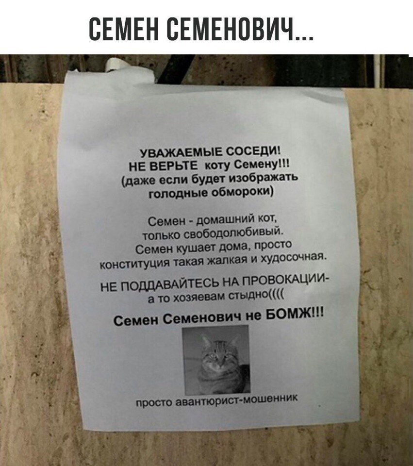Курилка- разговоры на любые темы - Бодибилдинг форум AnabolicShops