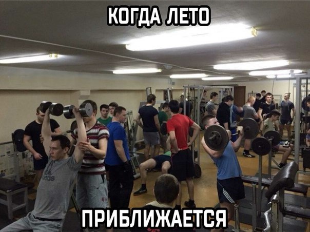 Курилка- разговоры на любые темы - Бодибилдинг форум AnabolicShops