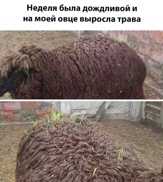 Курилка- разговоры на любые темы - Бодибилдинг форум AnabolicShops