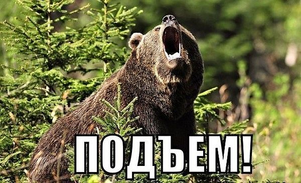 Курилка- разговоры на любые темы - Бодибилдинг форум AnabolicShops