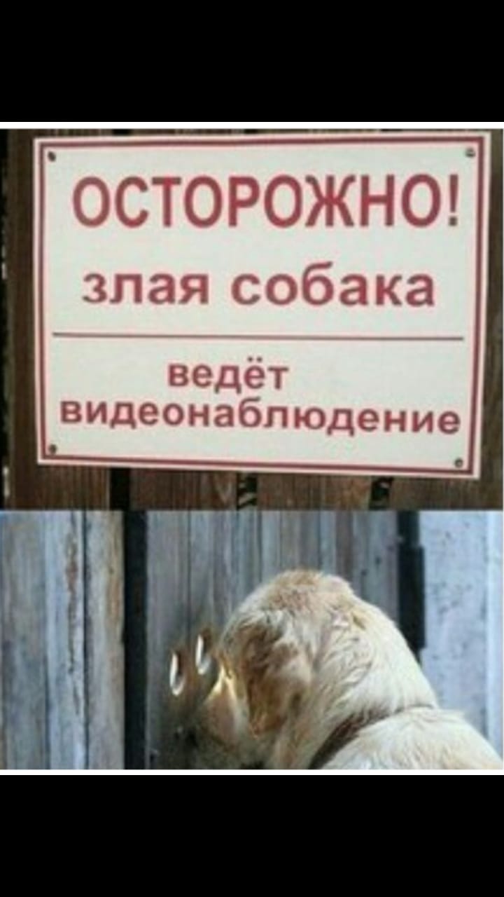 Курилка- разговоры на любые темы - Бодибилдинг форум AnabolicShops
