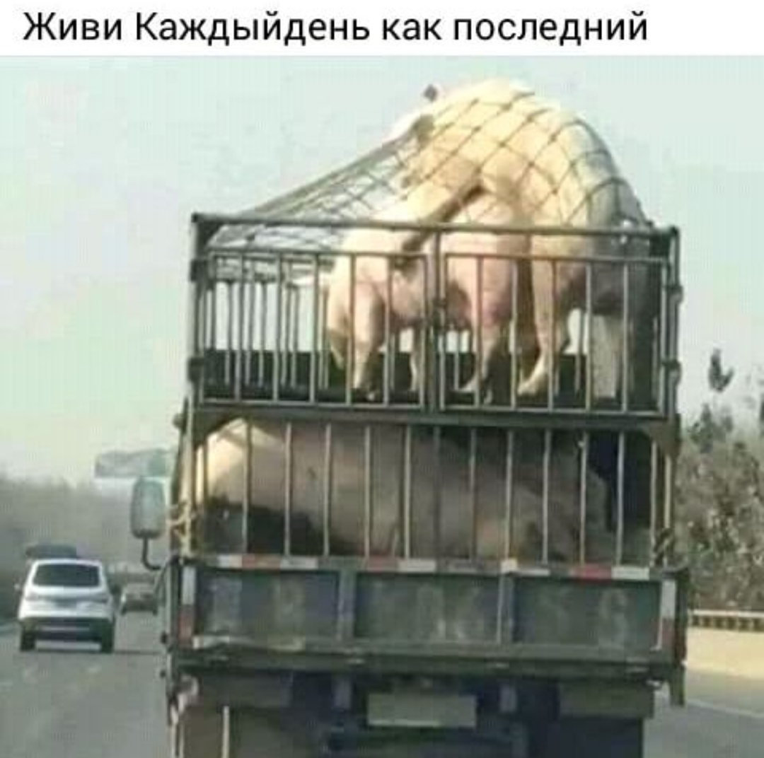 Курилка- разговоры на любые темы - Бодибилдинг форум AnabolicShops