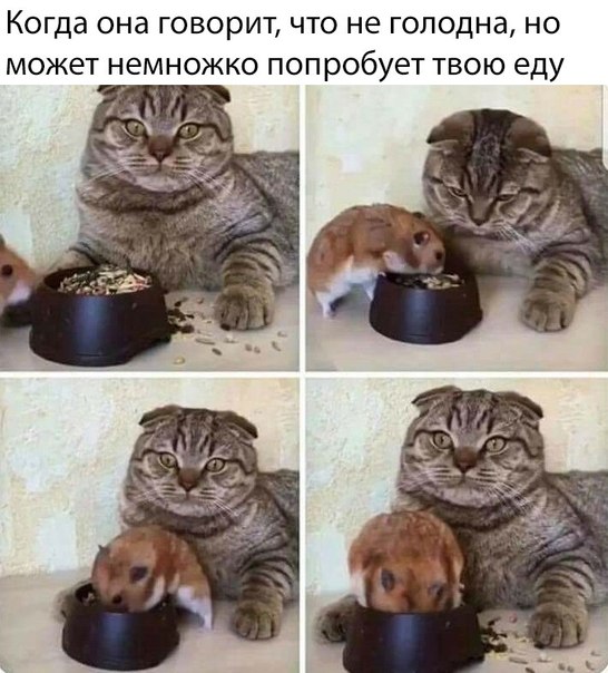 Курилка- разговоры на любые темы - Бодибилдинг форум AnabolicShops