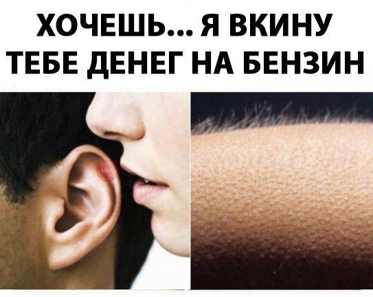 Курилка- разговоры на любые темы - Бодибилдинг форум AnabolicShops