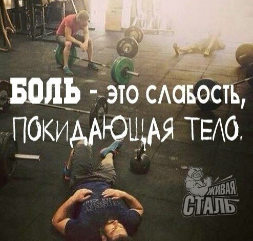 Курилка- разговоры на любые темы - Бодибилдинг форум AnabolicShops