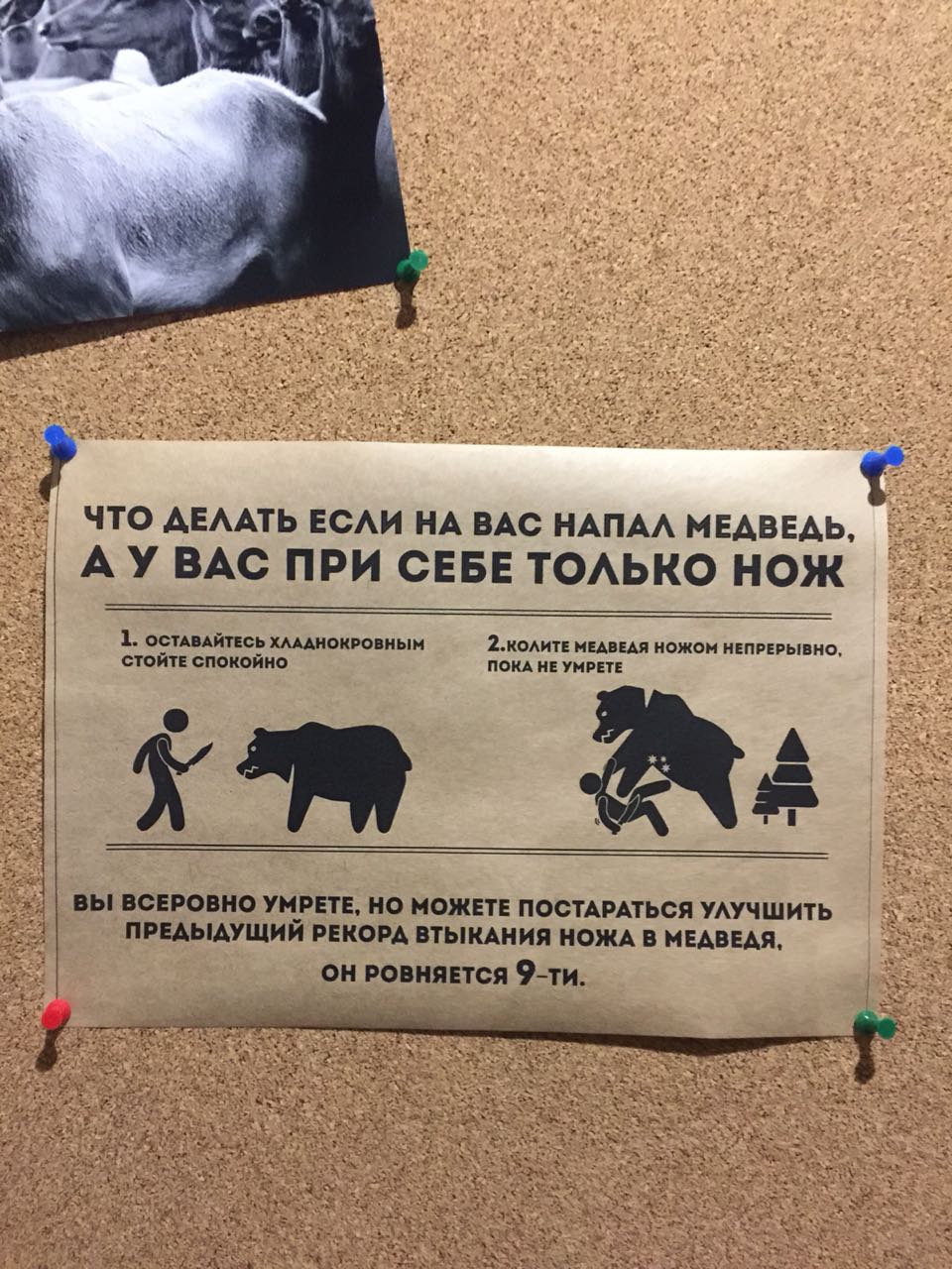 Курилка- разговоры на любые темы - Бодибилдинг форум AnabolicShops
