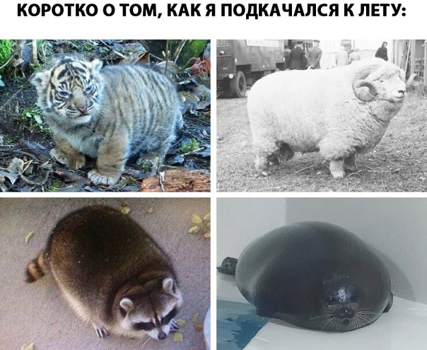 Курилка- разговоры на любые темы - Бодибилдинг форум AnabolicShops