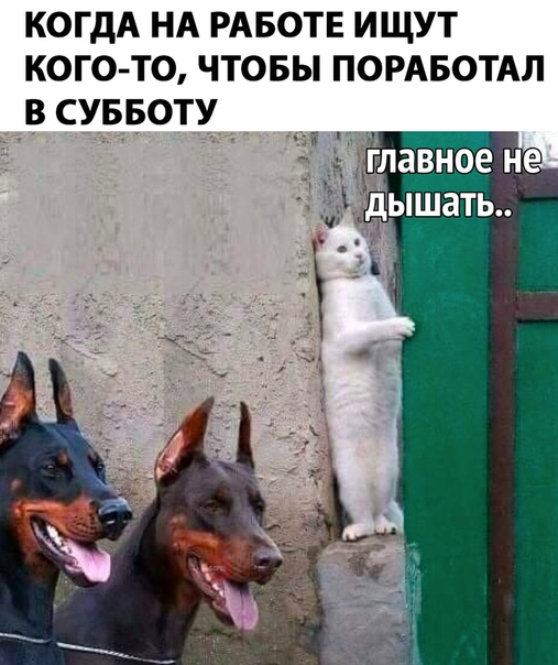 Курилка- разговоры на любые темы - Бодибилдинг форум AnabolicShops