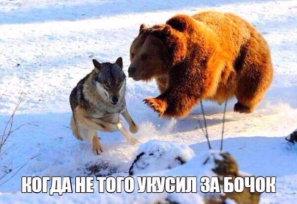 Курилка- разговоры на любые темы - Бодибилдинг форум AnabolicShops