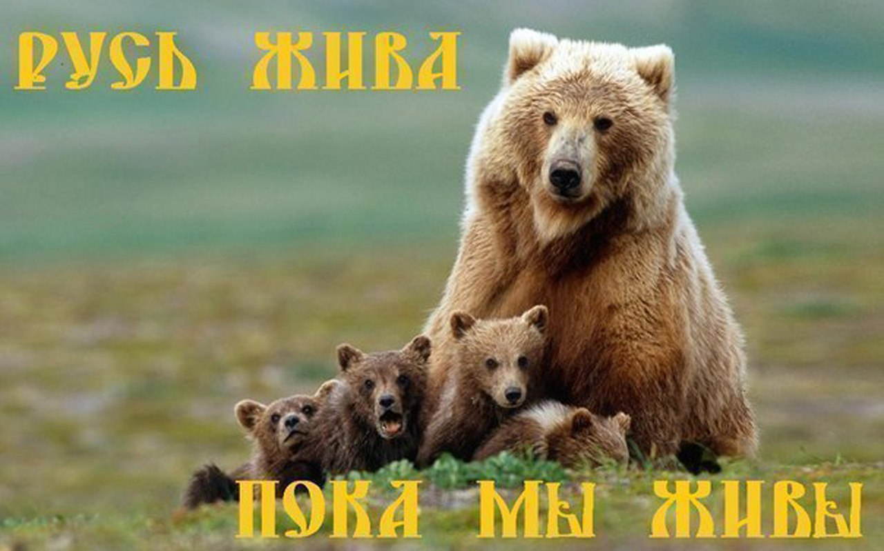 Курилка- разговоры на любые темы - Бодибилдинг форум AnabolicShops