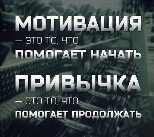 Курилка- разговоры на любые темы - Бодибилдинг форум AnabolicShops