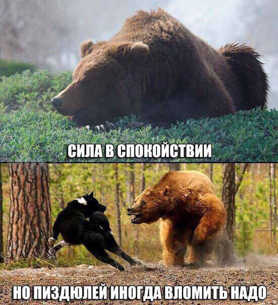Курилка- разговоры на любые темы - Бодибилдинг форум AnabolicShops
