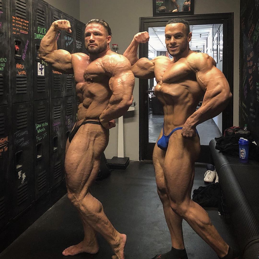 Крис Ацето ставит на Зейна Уотсона в категории 212 lb - Бодибилдинг форум AnabolicShops