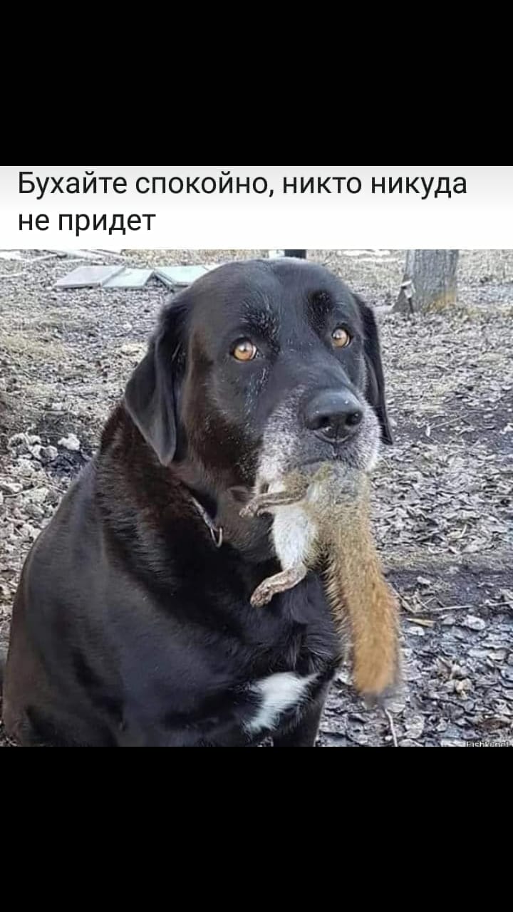 Курилка- разговоры на любые темы - Бодибилдинг форум AnabolicShops