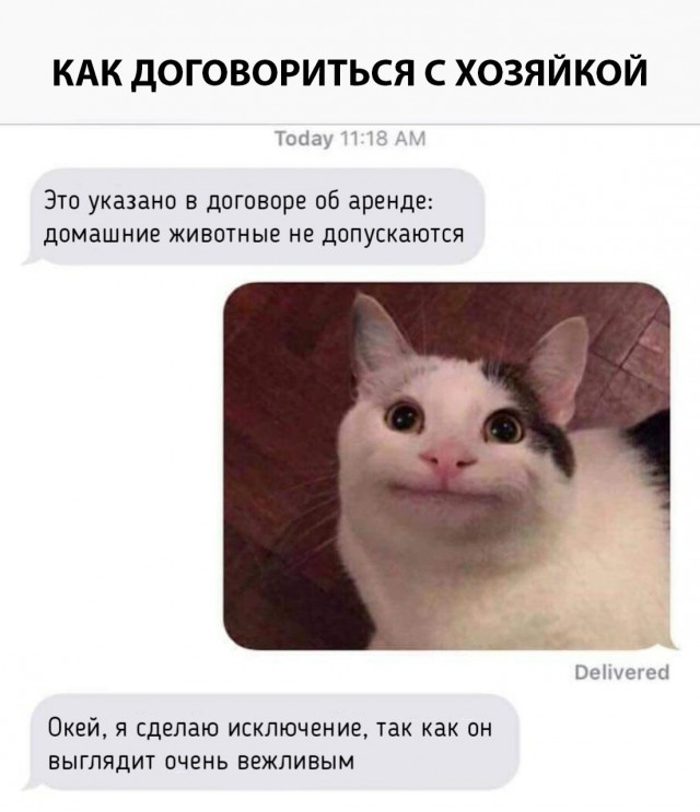 Курилка- разговоры на любые темы - Бодибилдинг форум AnabolicShops