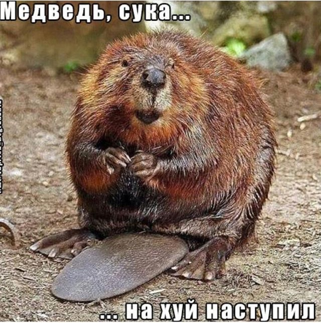 Курилка- разговоры на любые темы - Бодибилдинг форум AnabolicShops