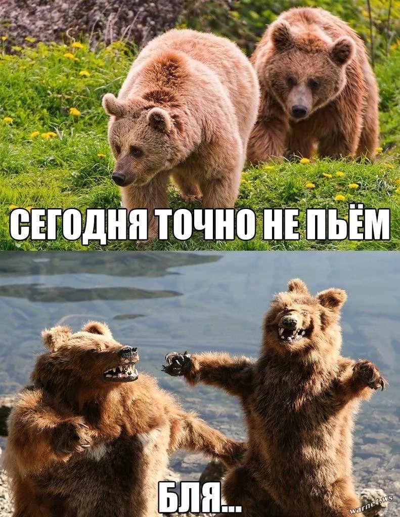 Курилка- разговоры на любые темы - Бодибилдинг форум AnabolicShops