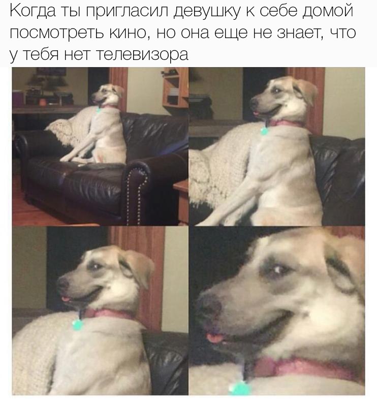 Курилка- разговоры на любые темы - Бодибилдинг форум AnabolicShops