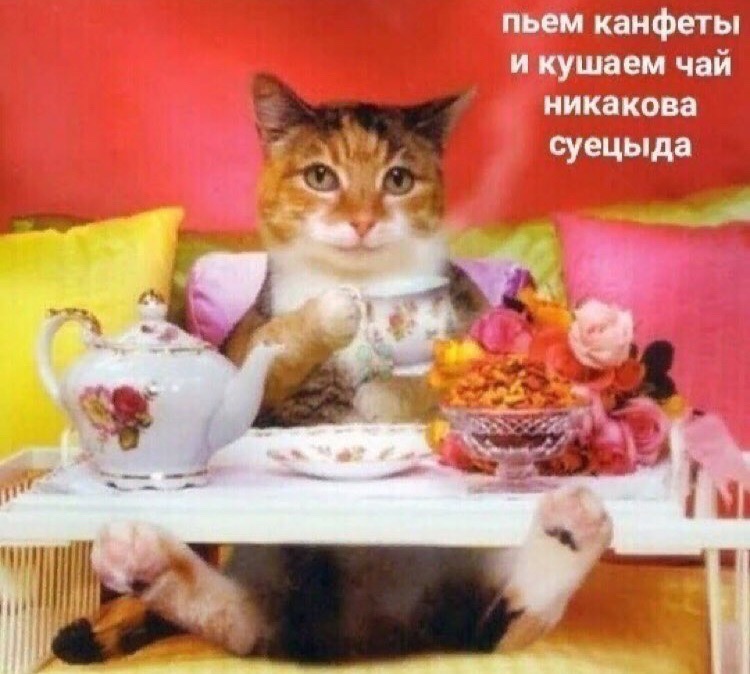 Блог бывшего FATMANa! mr. Rikoshet - reloading - Бодибилдинг форум AnabolicShops