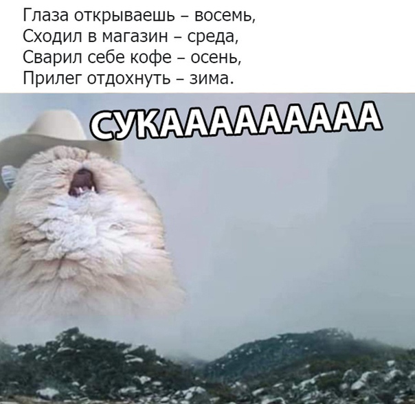 Курилка- разговоры на любые темы - Бодибилдинг форум AnabolicShops