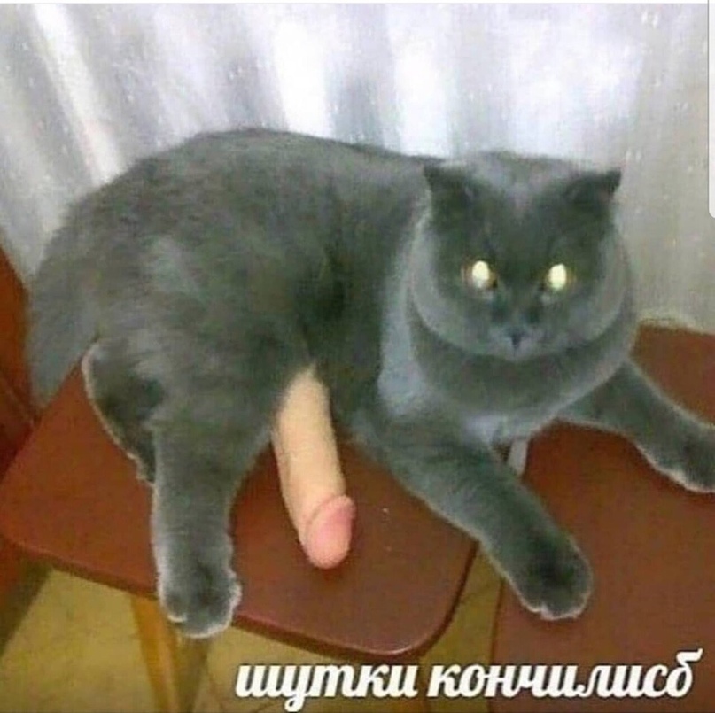 Курилка- разговоры на любые темы - Бодибилдинг форум AnabolicShops